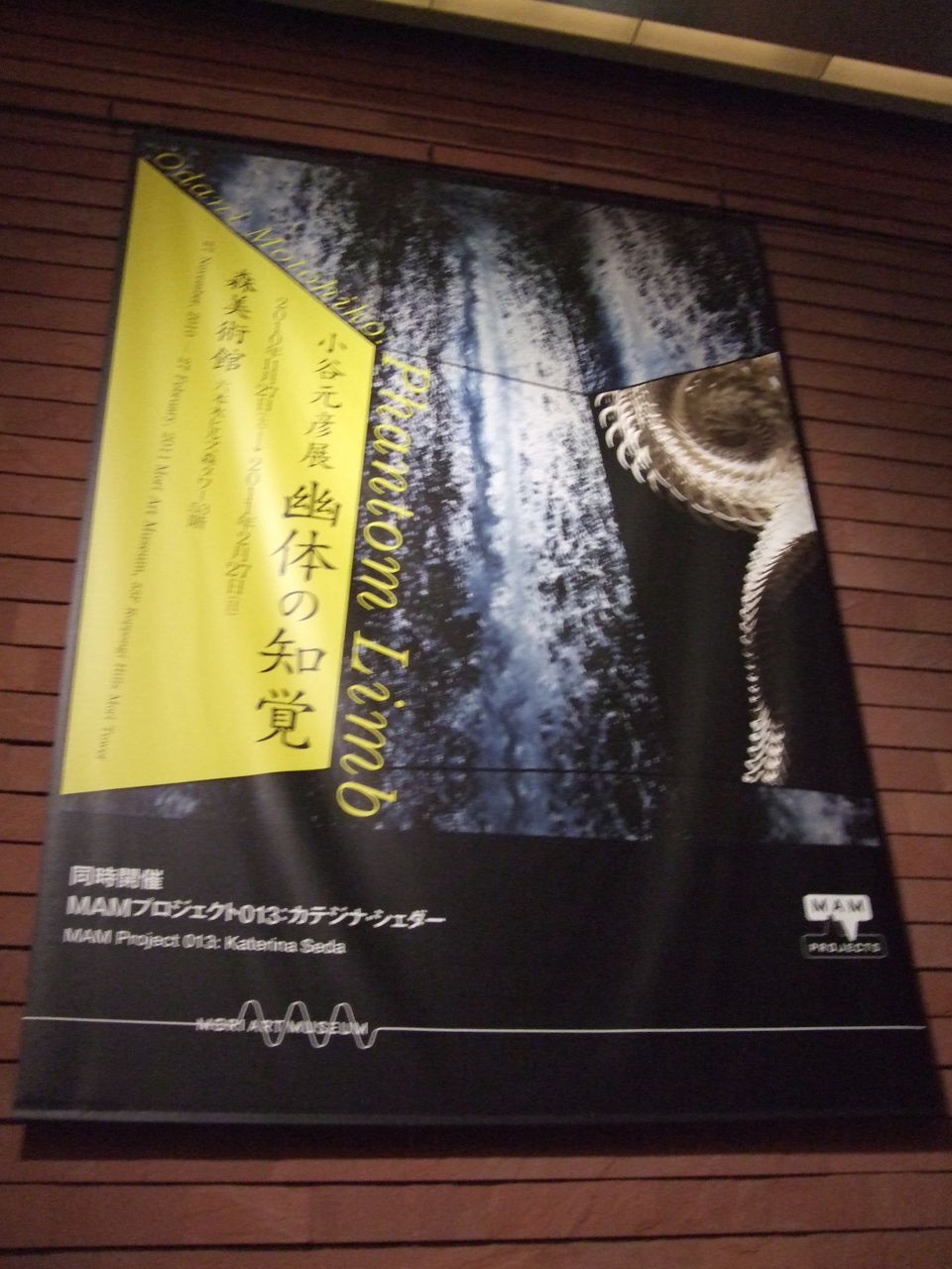 現代美術作家で最高峰レベル 小谷元彦展 幽体の知覚 自由人な弁護士の下で働く自由人日記