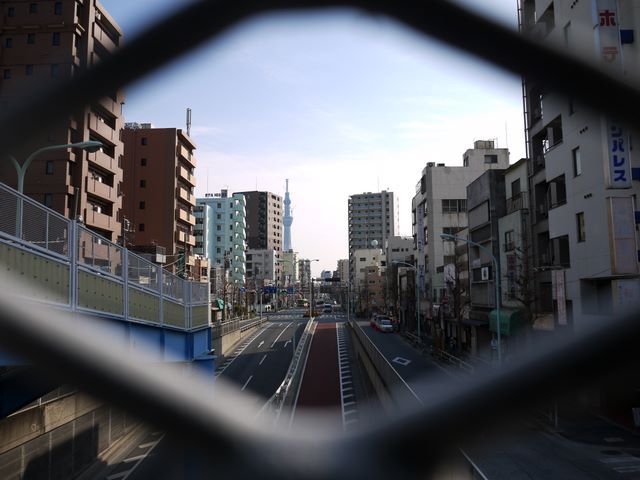 ボク のこともよろしくね お祭りにゃんこ