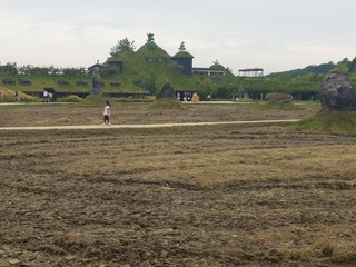 20250516_142821