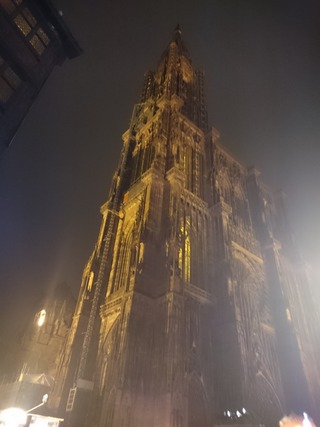 DSC_0494