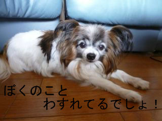 BlogPaint