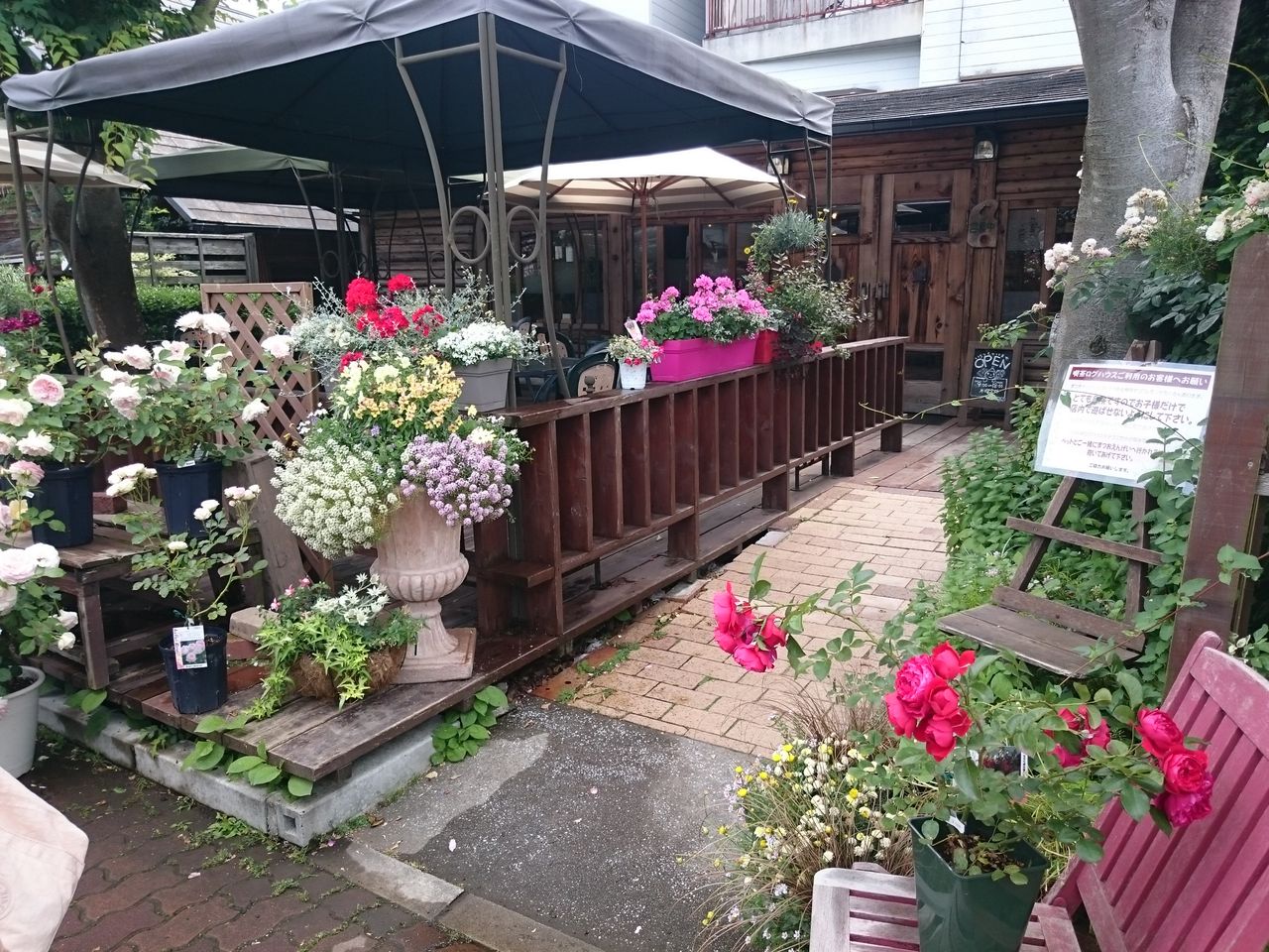 ちゅちゅたんの楽しい毎日 喫茶ログハウス まつおえんげい ちゅちゅたんの楽しい毎日 喫茶ログハウス まつおえんげい