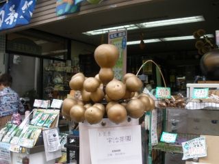 ちゅちゅたんの楽しい毎日 からほり商店街 プリンセストヨトミ
