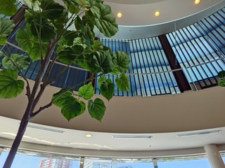 20260502_134910