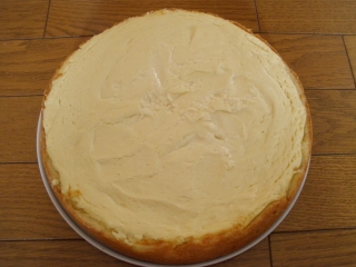 ちゅちゅたんの楽しい毎日 豆乳チーズケーキ ちゅちゅたんの楽しい毎日 豆乳チーズケーキ