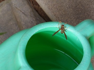 20240805_082329_exported_667