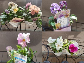 GridArt_20251201_182112223