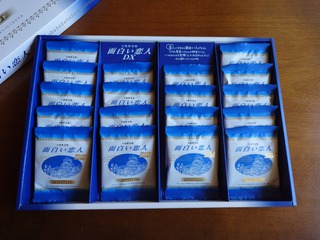 DSC_0001_BURST20250901144526456