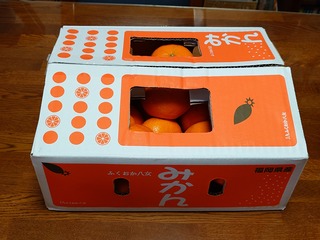 20241230_164012