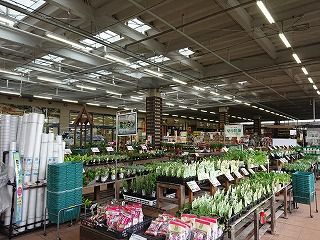 ちゅちゅたんの楽しい毎日 初めての アヤハディオ へ ちゅちゅたんの楽しい毎日 初めての アヤハディオ へ