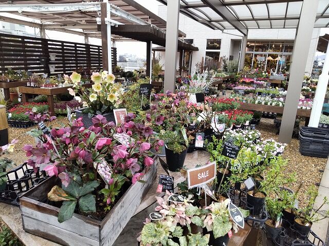ちゅちゅたんの楽しい毎日 とてもセンスのいいかわいいお花屋さんが箕面にありました ちゅちゅたんの楽しい毎日 とてもセンスのいいかわいいお花屋さんが箕面にありました