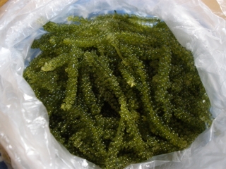 P6092532