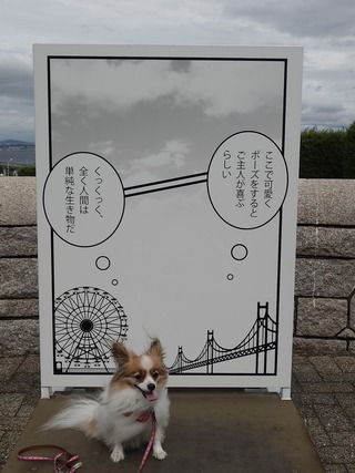 20241008_115015