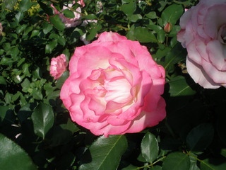 PB049129