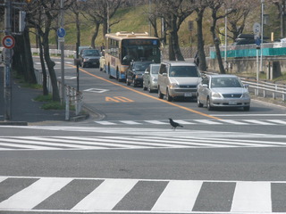 P4173058