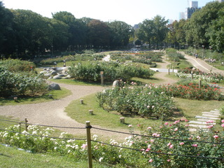 PB049127