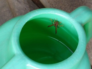 20240805_082329_exported_0