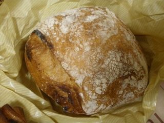 PB049197