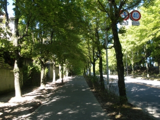 P7183231