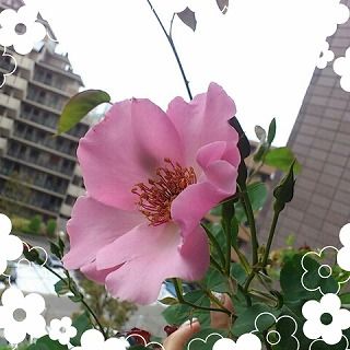 20140512062801