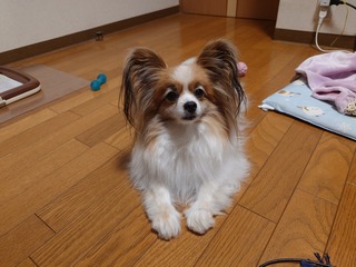 20260505_205006