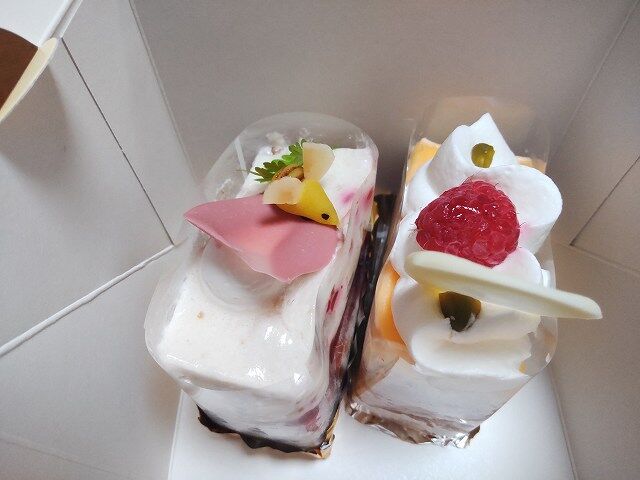 ちゅちゅたんの楽しい毎日 思いがけないケーキにラッキー 艸 ちゅちゅたんの楽しい毎日 思いがけないケーキにラッキー 艸