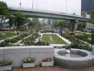 P6036263