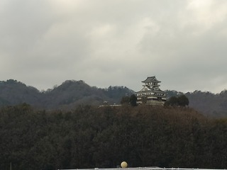 20250124_141400