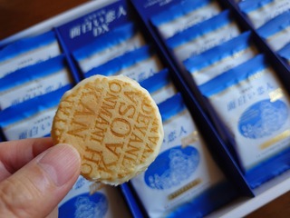 DSC_0000_BURST20250901144614031_COVER