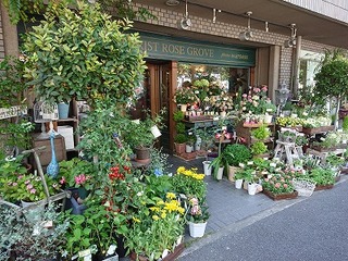ちゅちゅたんの楽しい毎日 英国スタイルのお花屋さん フローリストローズグローブ