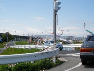 P5061667
