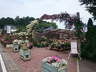 ちゅちゅたんの楽しい毎日 京都 洛西 まつおえんげい