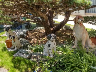 DSC_5722~2