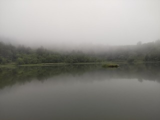 DSC_4901