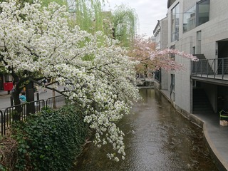 DSC_1011