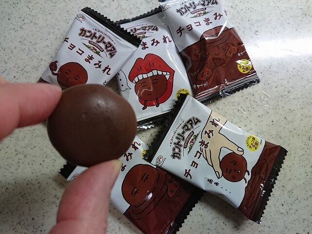 ちゅちゅたんの楽しい毎日 カントリーマアム チョコまみれ がチョコ過ぎておいしい ちゅちゅたんの楽しい毎日 カントリーマアム チョコまみれ がチョコ過ぎておいしい