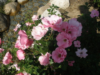 PB049134