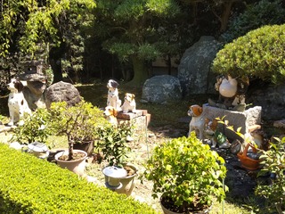 DSC_5720~2
