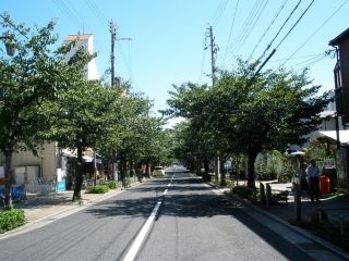 P8263976