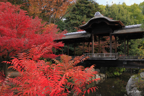風景写真 2023年 7・8月号 大人の夏休み - 日本風景写真家協会