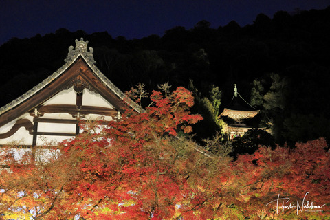 風景写真 2023年 7・8月号 大人の夏休み - 日本風景写真家協会