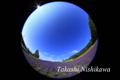 イメージ 12