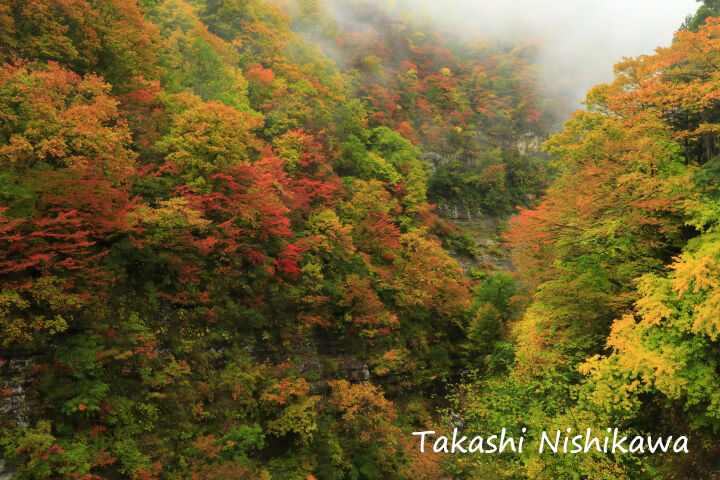 秋田県湯沢市の三途川渓谷と小安峡の紅葉 10月26日分4 1 風景写真家 西川貴之の気まぐれブログ 秋田県湯沢市の三途川渓谷と小安峡の紅葉 10月26日分4 1 風景写真家 西川貴之の気まぐれブログ