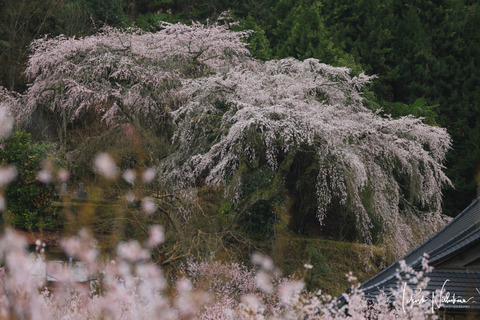 _S9A3880
