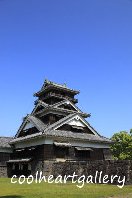 イメージ 9