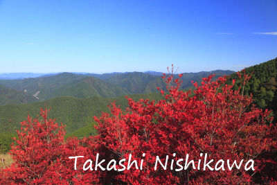 和歌山県高野龍神スカイラインの紅葉 10月30日分2 2 風景写真家 西川貴之の気まぐれブログ 和歌山県高野龍神スカイラインの紅葉 10月30日分2 2 風景写真家 西川貴之の気まぐれブログ