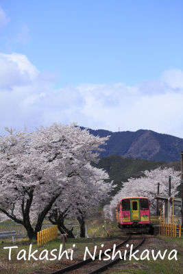 イメージ 7