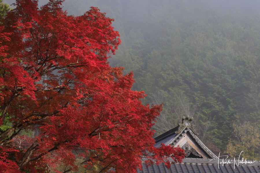 長安寺 風景写真家 西川貴之の気まぐれブログ 長安寺 風景写真家 西川貴之の気まぐれブログ