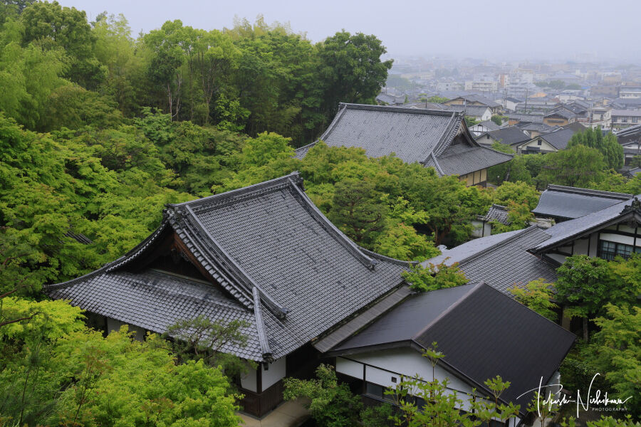 京都府京都市の詩仙堂・圓光寺・曼殊院・赤山禅院 5月27日分