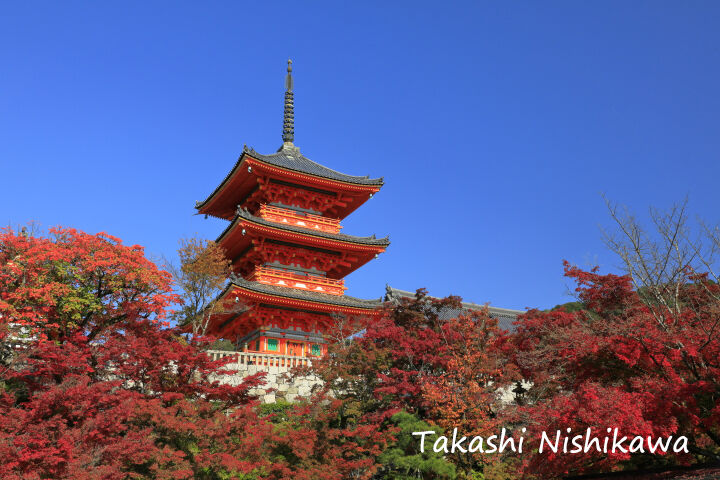 京都府京都市の清水寺の三重塔と紅葉 11月18日分4 3 風景写真家 西川貴之の気まぐれブログ